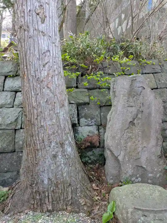 船魂神社の{uncategorized: "未分類", other: "その他", undefined: "問題あり", building: "その他建物", grave: "お墓", sacred_gate: "鳥居", guardian: "狛犬", statue: "像", buddha: "仏像", history: "歴史", nature: "自然", garden: "庭園", animal: "動物", pagoda: "塔", temizu: "手水舎", mountain_gate: "山門・神門", sanctuary: "本殿・本堂", subordinate: "末社・摂社", art: "芸術", scenery: "景色", jizo: "地蔵", ema: "絵馬", goshuin: "御朱印", omikuji: "おみくじ", items: "授与品その他", amulet: "お守り", goshuincho: "御朱印帳", eats: "食事", festival: "お祭り", votive_dance: "神楽", shichigosan: "七五三参", wedding: "結婚式", experience: "体験その他", initially: "初詣", around: "周辺", anti_infection: "感染症対策"}