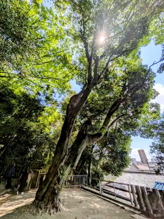 垂水神社の自然