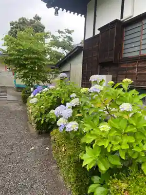 大蔵院(群馬県)