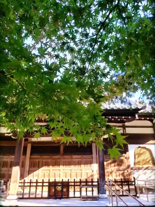 大正寺(東京都)