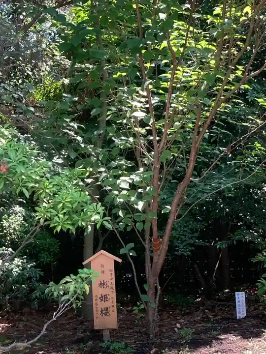 寒川神社(神奈川県)