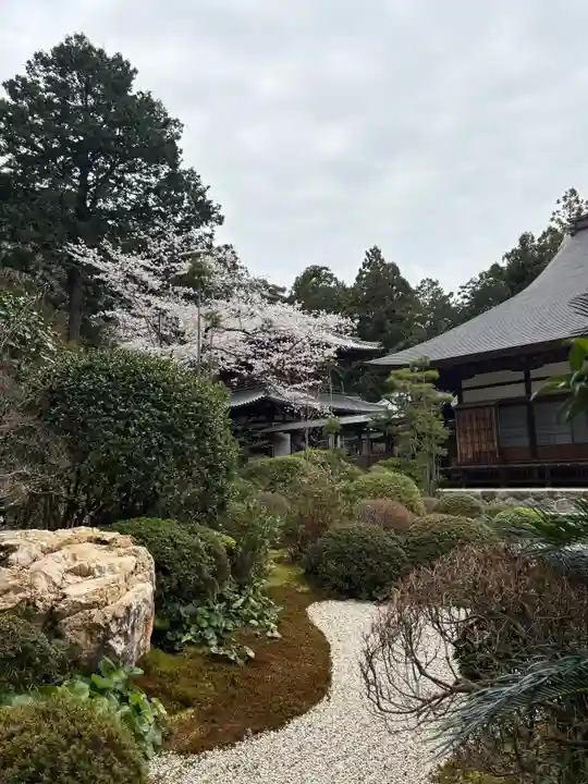 龍潭寺(静岡県)