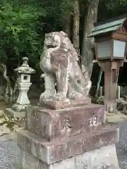 敢國神社の狛犬