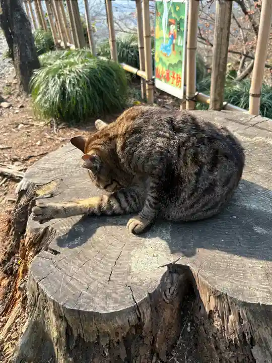 唐澤山神社(栃木県)