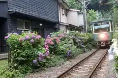 御霊神社の周辺