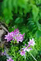 浄土寺(兵庫県)