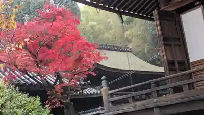 観音寺（山崎聖天）(京都府)