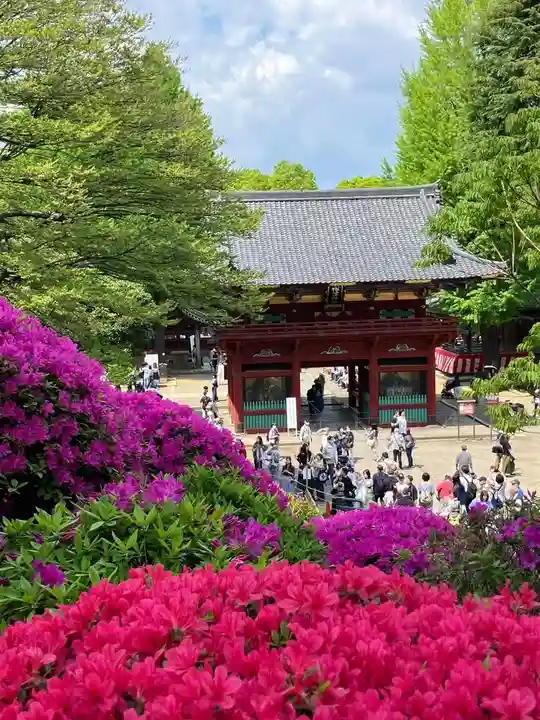 根津神社(東京都)
