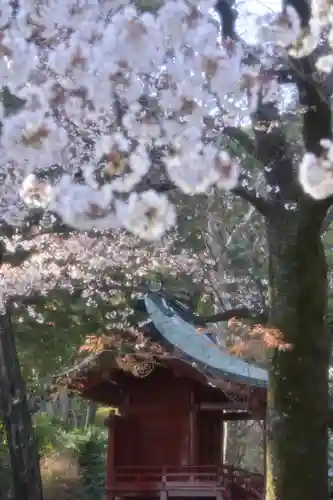 伊豆山神社(静岡県)