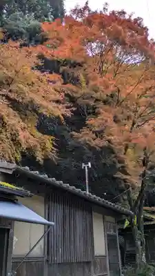 寂光院(京都府)