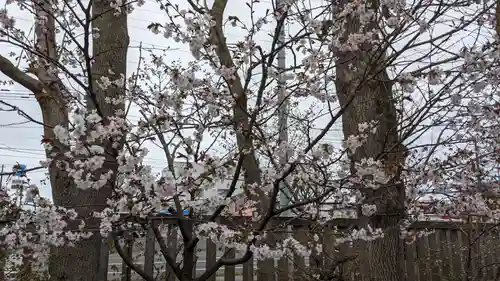 鳥取神社の自然