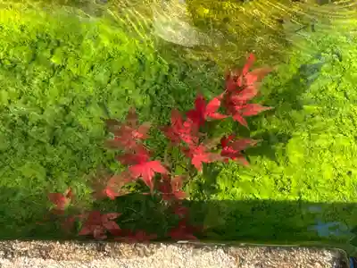 国宝 大法寺(長野県)