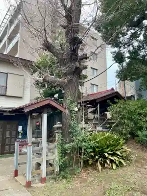 向陵稲荷神社の{uncategorized: "未分類", other: "その他", undefined: "問題あり", building: "その他建物", grave: "お墓", sacred_gate: "鳥居", guardian: "狛犬", statue: "像", buddha: "仏像", history: "歴史", nature: "自然", garden: "庭園", animal: "動物", pagoda: "塔", temizu: "手水舎", mountain_gate: "山門・神門", sanctuary: "本殿・本堂", subordinate: "末社・摂社", art: "芸術", scenery: "景色", jizo: "地蔵", ema: "絵馬", goshuin: "御朱印", omikuji: "おみくじ", items: "授与品その他", amulet: "お守り", goshuincho: "御朱印帳", eats: "食事", festival: "お祭り", votive_dance: "神楽", shichigosan: "七五三参", wedding: "結婚式", experience: "体験その他", initially: "初詣", around: "周辺", anti_infection: "感染症対策"}