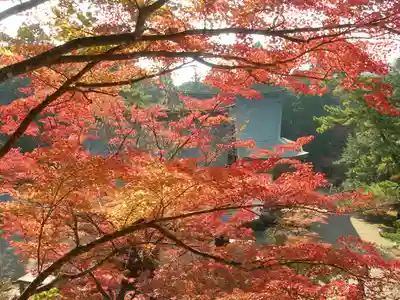 神護寺(京都府)