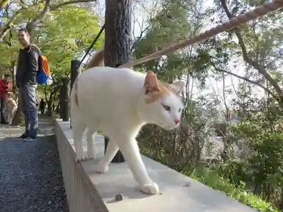 熊野若王子神社(京都府)