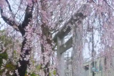阿佐ヶ谷神明宮(東京都)