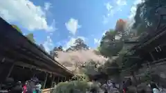 吉野水分神社(奈良県)