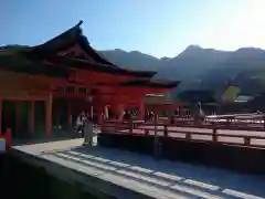 厳島神社の本殿