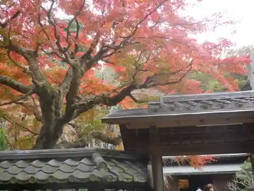 東慶寺の自然