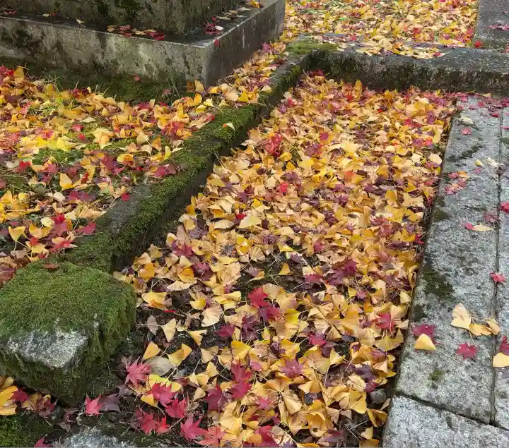 観音寺(滋賀県)
