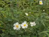 一音寺(京都府)