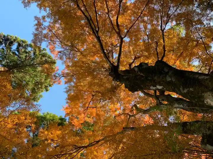 熱田神社の自然