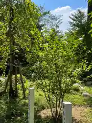 高麗神社の自然