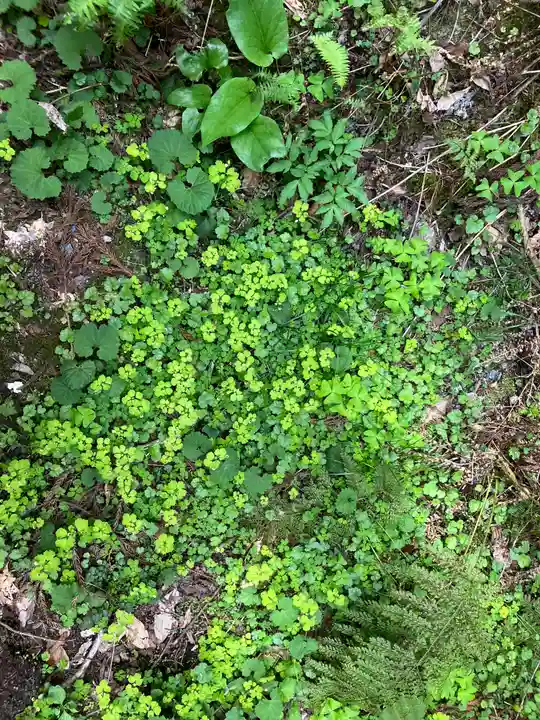 茅部神社(岡山県)