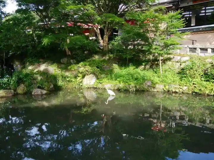 太宰府天満宮(福岡県)
