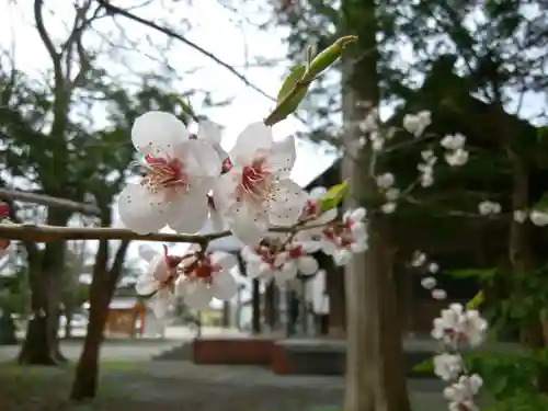 錦山天満宮の自然