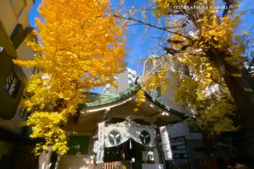 銀杏岡八幡神社(東京都)