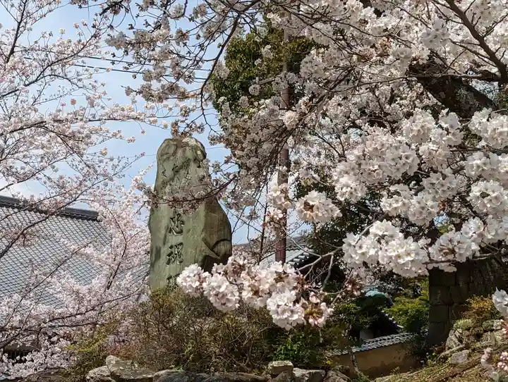くろ谷 金戒光明寺(京都府)