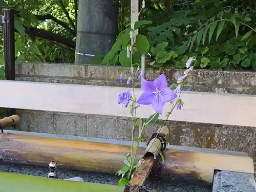 伊香保神社の手水