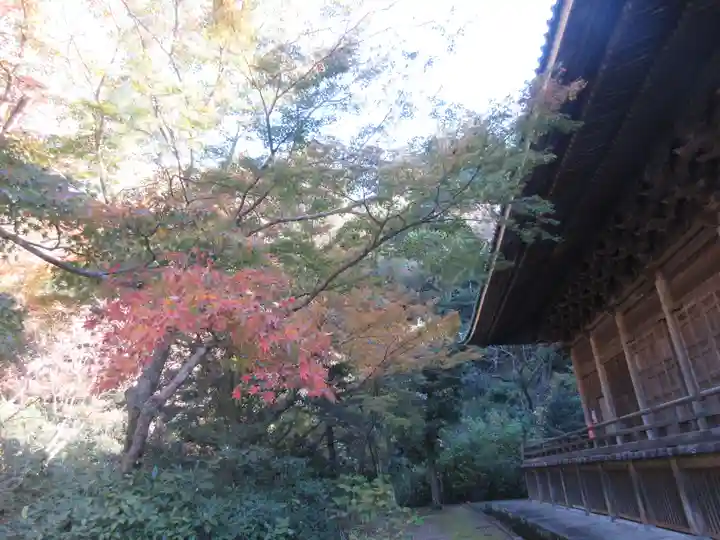 妙本寺のその他建物