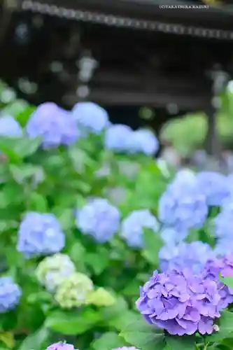 妙楽寺(神奈川県)