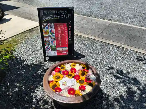 釋迦院（釈迦院）(大阪府)