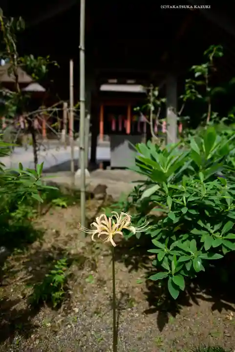 宝城坊(神奈川県)