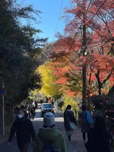 明月院の景色