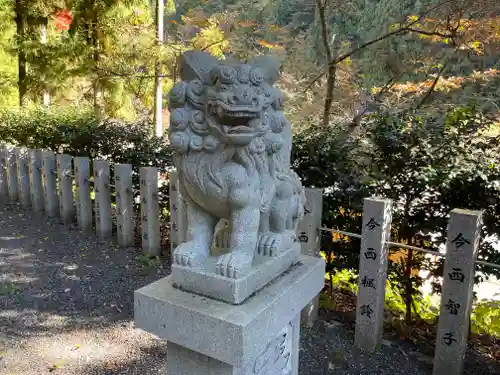 八坂神社の狛犬