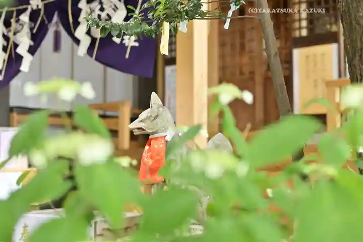 五十稲荷神社(栄寿稲荷神社)(東京都)