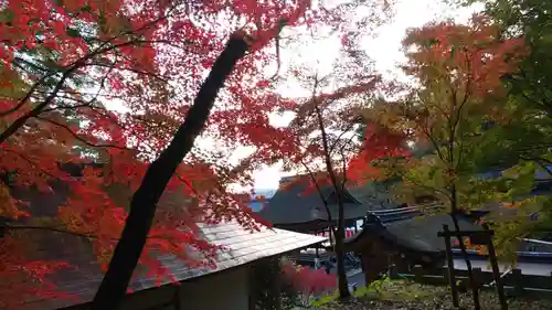 出雲大神宮の自然