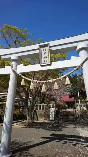 柏木神社の鳥居