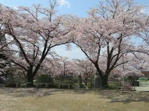 広厳院の自然