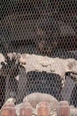 廣隆寺(京都府)