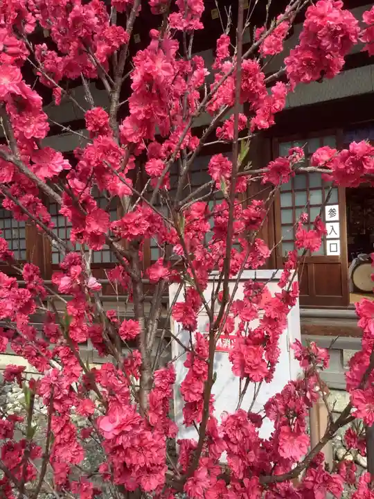 真清田神社の自然