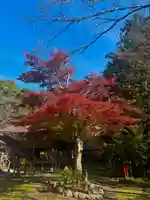 蚊里田八幡宮(長野県)