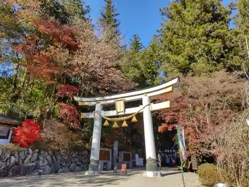 宝登山神社の鳥居