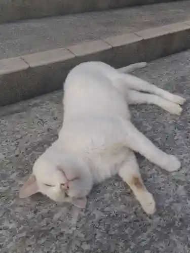 宝寿院(愛知県)