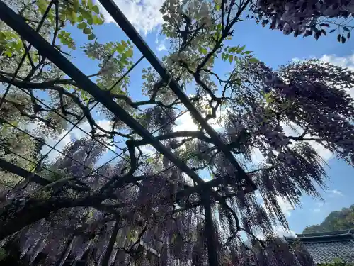 天台宗 五大山 白毫寺(兵庫県)