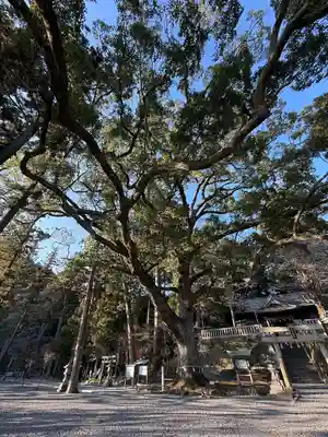 事任八幡宮(静岡県)